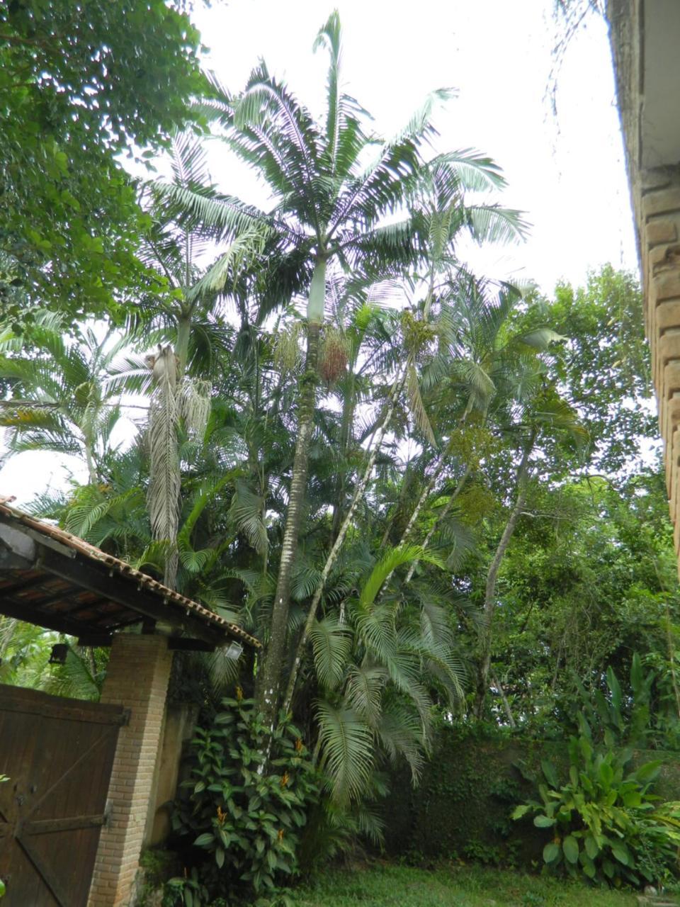 Solar Das Canoas Prumirim Ubatuba Exteriör bild